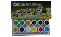 Cores preliminares metálicas da pintura acrílica, pigmentos da cor da pintura do grupo de cor da pintura à têmpera